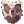 Shield_6