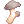Any_Items_79