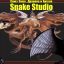 Snake Studio