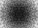 Transition_13