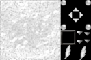 Windowskin_62